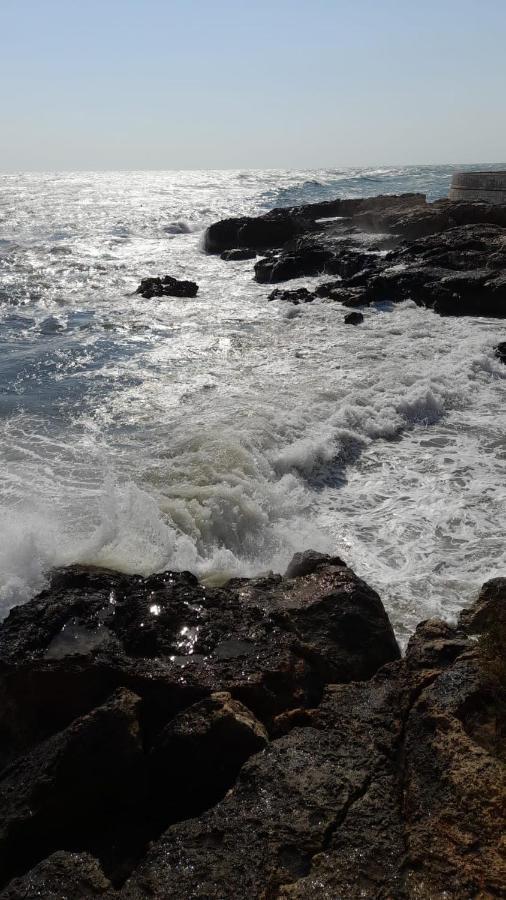 La Preferita Appartamento vista Mare Monopoli Esterno foto